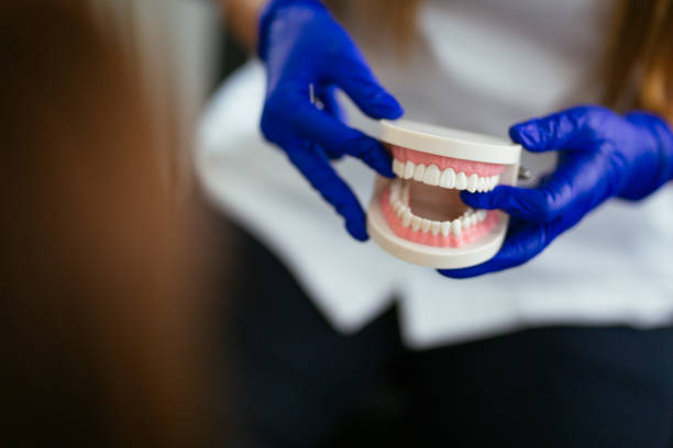Best Veneers and Lumineers  in Bee Ridge, FL