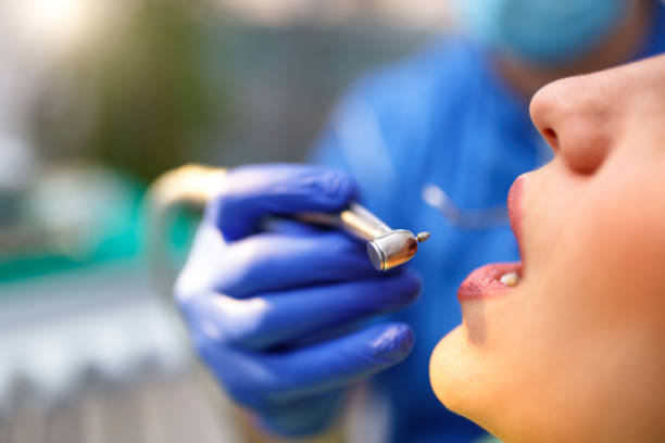 Best Emergency Dental Care  in Bee Ridge, FL